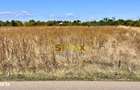 Corbeanca 5000 mp | deschidere 22 m la drum asfaltat | padure | utilit - 2