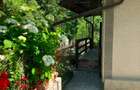 Casa  cu parau la limita proprietatii- zona submontana - 6