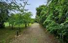 Evadare intr-un Paradis Privat: Proprietate Unica in Valenii de Munte - 11