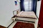 Apartament 3 camere Ostroveni - 2
