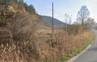 Teren de vanzare 2.900 mp | Fizesu Gherlii, Cluj | 8.700
