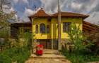 Provita de Sus, Prahova, casa renovata, comision 0 % - 4