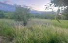 Teren intravilan de inchiriat in Mogosesti-Santa, Iasi ideal pentru diverse activitati - 3