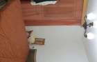 Inchiriez ap. 3 camere + garaj, parter, casa Talmaciu - 6