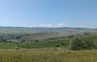 Teren extravilan 5.800 mp Apahida, Cluj - 3