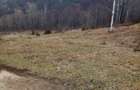 Teren de 10000 mp, în Lepșa