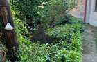 Teren de vanzare Baneasa Dobrogeanu Gherea Intrarea Ruginita 610 mp zona exclusivista