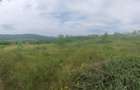Teren deosebit 11.000 mp  Pârscov Măgura, Buzău | ideal pensiune/ glamping - 1