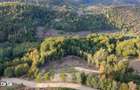 Teren de vanzare, 7300 mp, acces pavat - 12