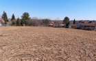 Teren de 6670 mp, în Viile Satu Mare - 7