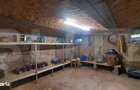 Casa individuala de vanzare, 124 mp, teren 3.860 mp, zona Chichis