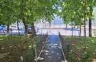 Apartament 2 camere - Sector 4 - 5