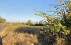 COMISION 0, Teren intravilan 3600 mp, Targoviste, Priseaca
