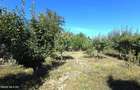 Castelu - Str. Florilor, casa din 2012, teren 737 mp si 106 mp utili