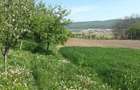 Vand pamant intravilan - 6