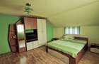 Casa P+M cu 1500 mp teren intravilan in Valea Mare - 14