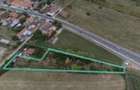Vand Teren 2930 mp Loc. Masca Arad