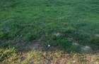 teren 300 mp tatarani ph - 1