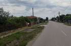 Casă cu 3 camere în Bogata - 3
