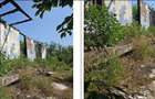 Casa si teren Cucuruzu, ID: R2609648 - 1