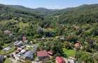Teren Intravilan 8.277 mp Provița de Jos – Utilități, Râu & Pădure - 5