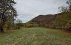 Teren intravilan 2500mp Criscior