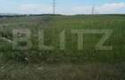 EXCLUSIVITATE ! Teren intravilan , 2900 mp , Jucu de Sus - 3