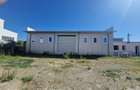 Hala Industriala Premium, 600 m2, Zona Shopping City - 2