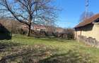 Teren de vanzare 11.000 mp, acces asfaltat - 1