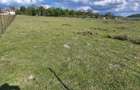 Teren intravilan(5000Mp)de vanzare, acces asfaltat - 2