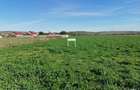 Teren, 2 800 m2, - 1