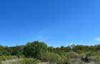 RECO teren intravilan Sanmartin - 3