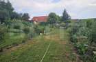 Casa in Bacau de Mijloc, judetul Arad - 4