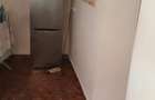 2 case in aceiasi curte - 4