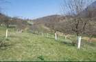 Casă cu 4 camere în Câmp - 2