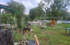Teren intravilan de vanzare, 3283 mp, zona Hagioaica - 7