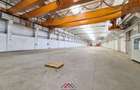 Hale noi in Baicoi, Ph--13.000mp--3e - 7