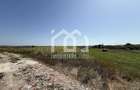 5.800 mp | Front 30 m | 20EUR/mp | Jucu de Mijloc - 5