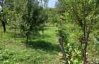 vand casa si teren,acte la zi,apa,lumina,gaze,put - 3