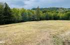 Teren De Vanzare In Zona Purcareti, Jud. Alba. 17800 Mp.