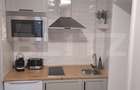 Apartament 2 camere de inchiriat, 40 mp, zona Centrul Istoric - 12