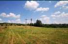 Teren Lac Domnesti Arges 18100 mp - 5