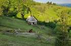 De vanzare-Teren 5 hectare in inima muntilor apuseni!