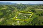 25 km de Brasov ,12.000 m2 , 60 m2 constructii - 8