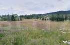 Teren intravilan, 20.105 mp, zona Vatra Dornei - Vatra Dornei (Suceava) - 2