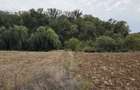 Teren 4070 mp in Scrovistea la padure si lac - 4