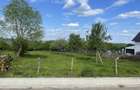 Teren 3.346 mp Cerbureni 1.587 mp intravilan | Utilitati | Potential turistic - 4