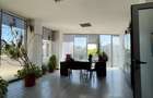 Spatiu comercial / birouri - 660 mp - Bulevardul Nicolae Titulescu - 4