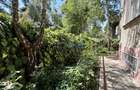 Vila de vanzare in Domenii Manastirea Casin, oaza de liniste - 18