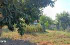 De vanzare casa in localitatea Covaci - Jud. Timis - 5